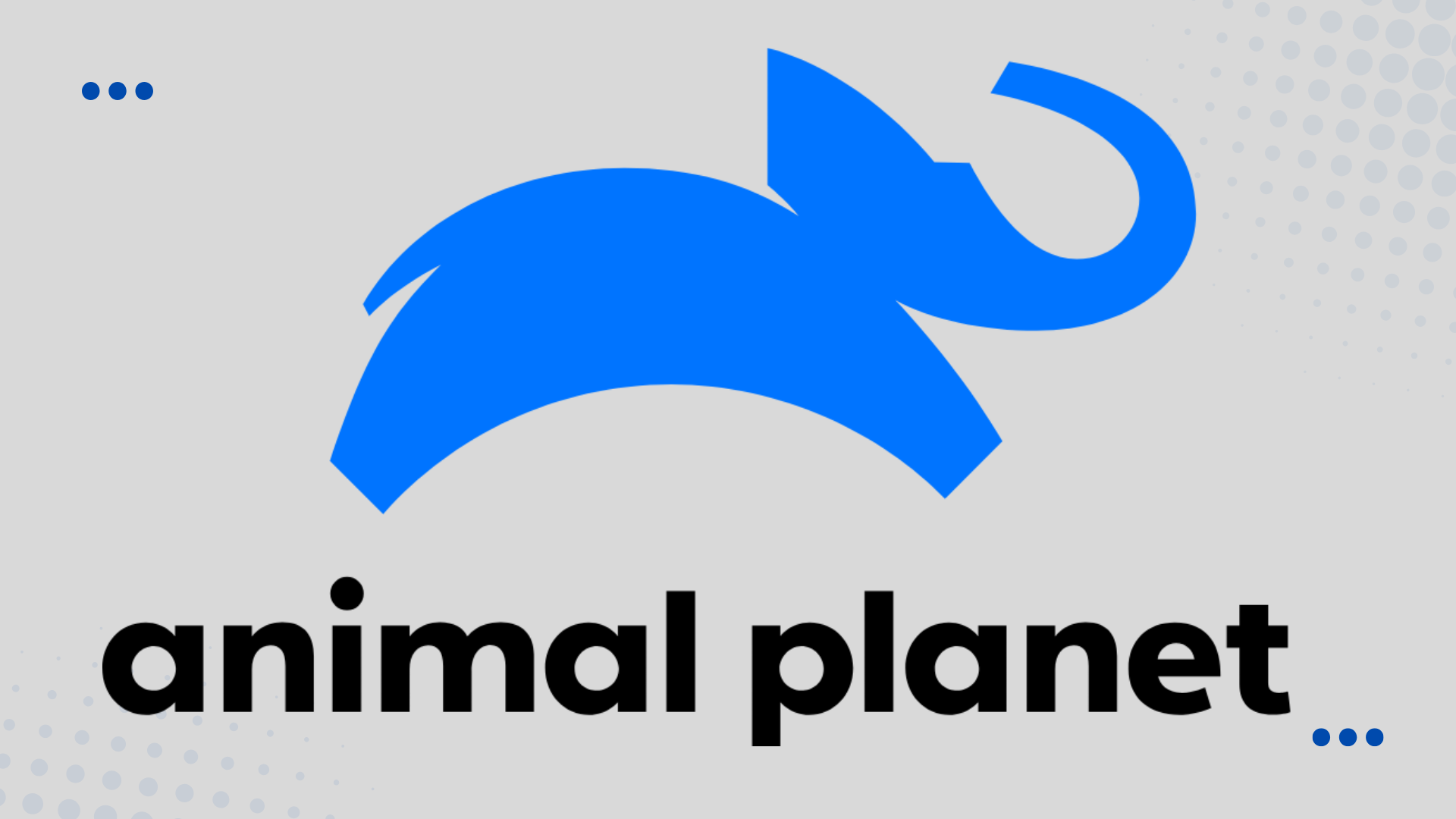 Animal Plant 